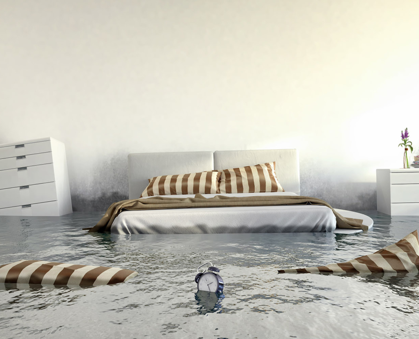 • Binder-Maler-Schadensanierung-Wasserschaden-Beispiel